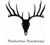 Timberline Taxidermy