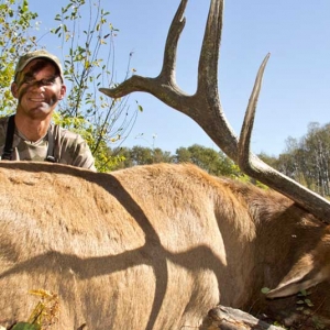 elk