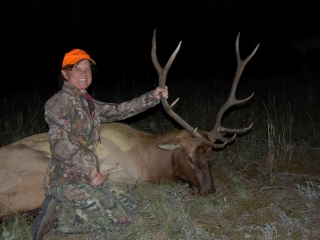 #1 bull Shamrock 2 (Custom)