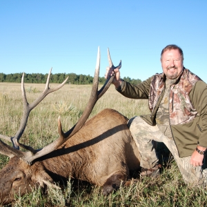 elk hunting trips colorado