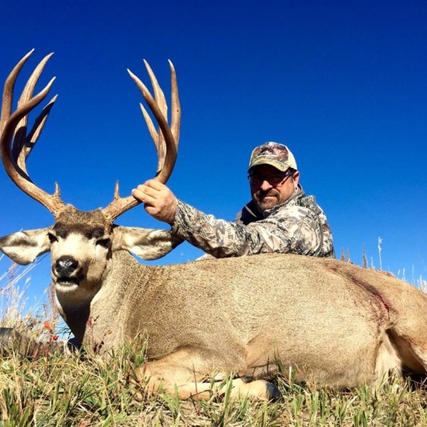 Fully Guided Trophy Mule Deer Hunts in Colorado J&D Outfitters