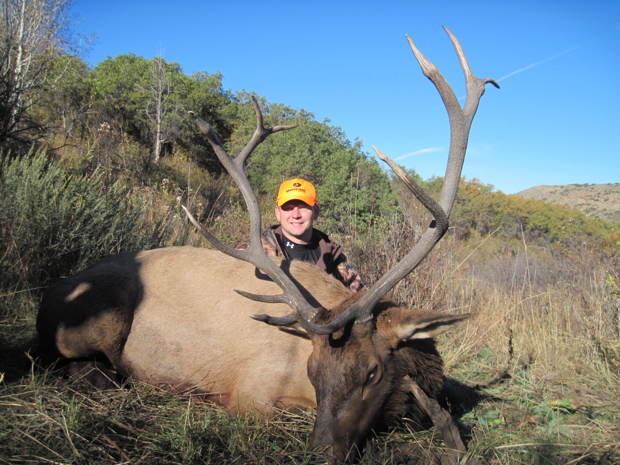 hunting trip colorado elk