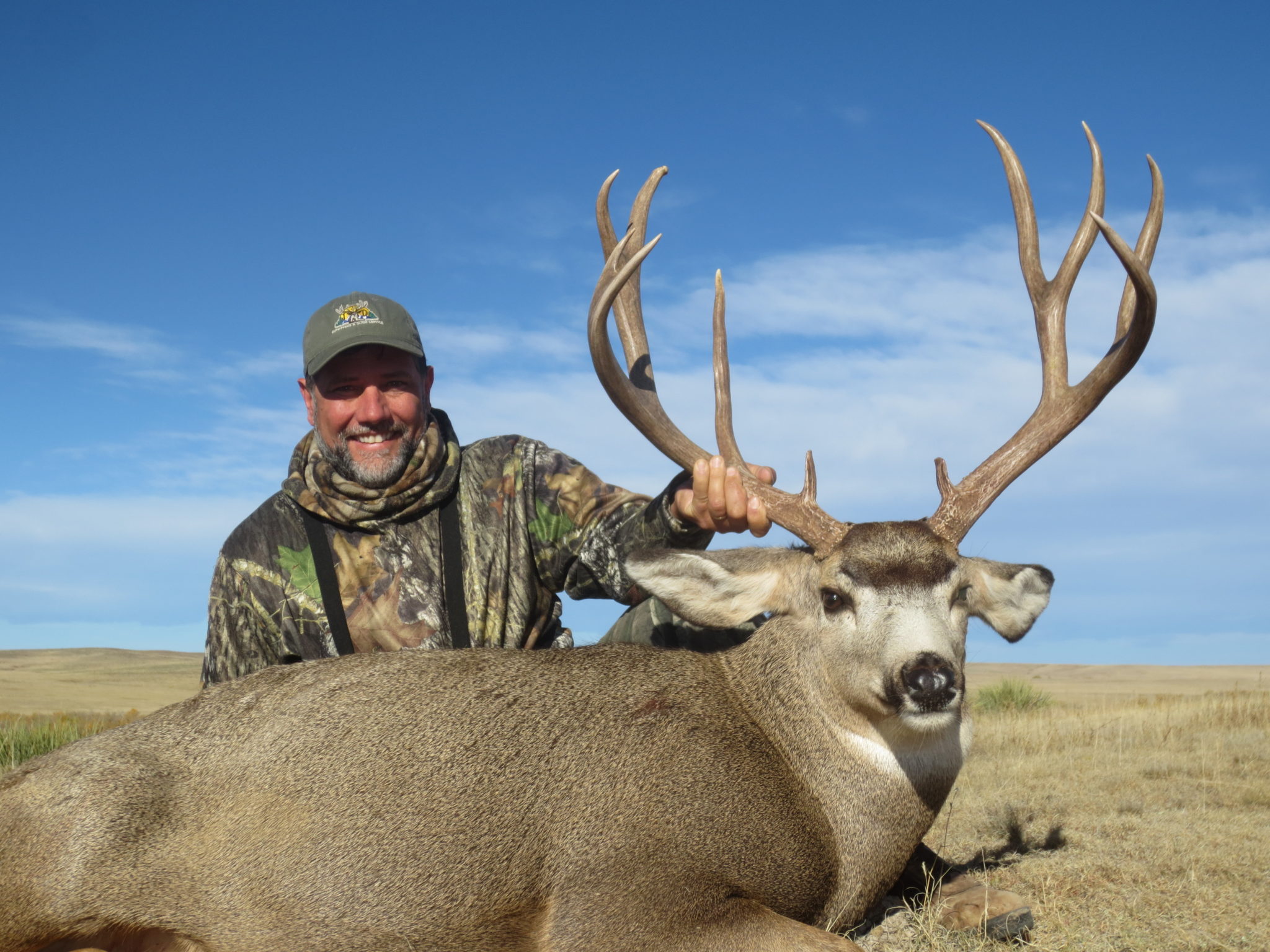 mule deer hunting trips colorado