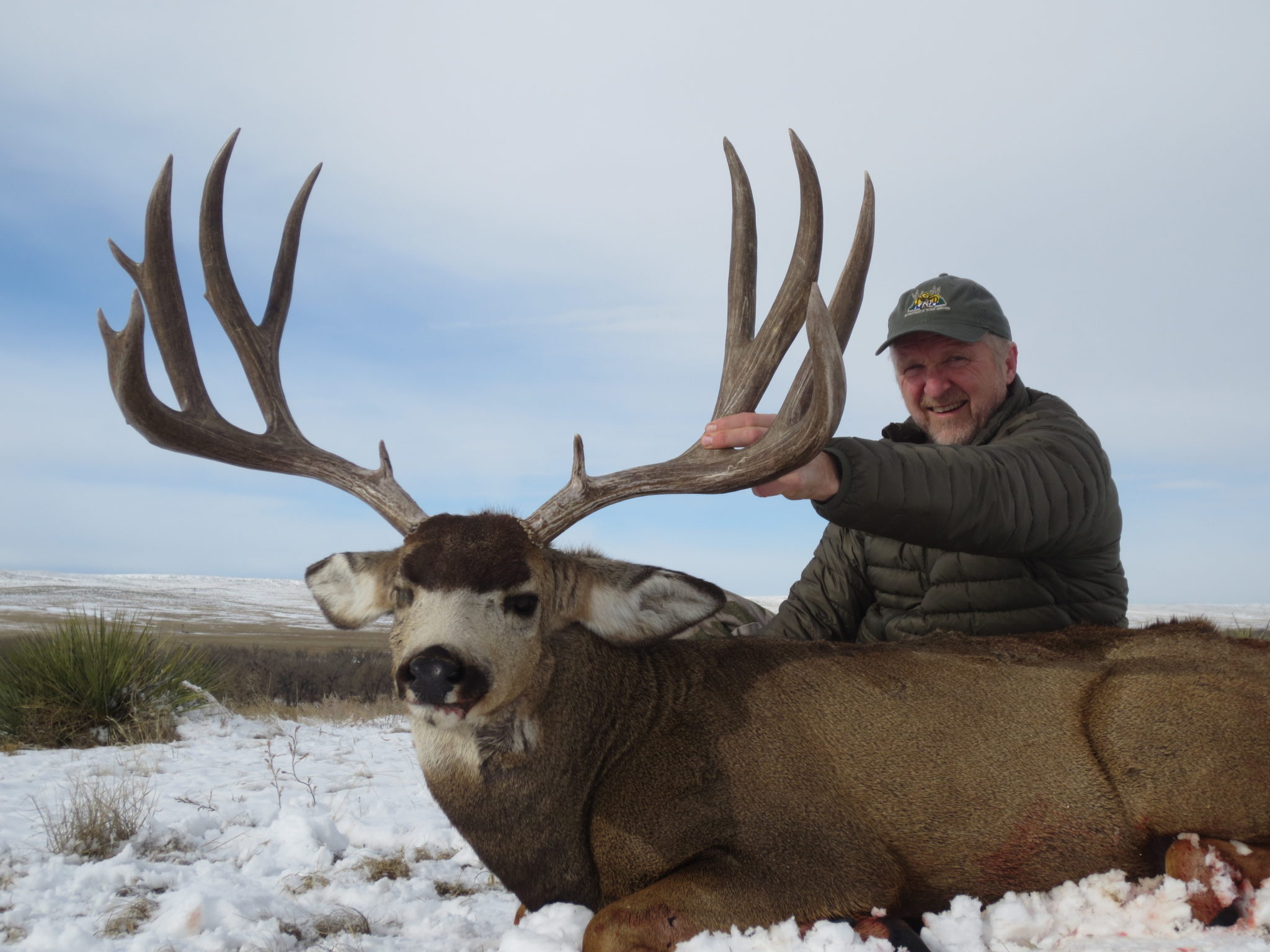 43 best ideas for coloring | Mule Deer Outfitters