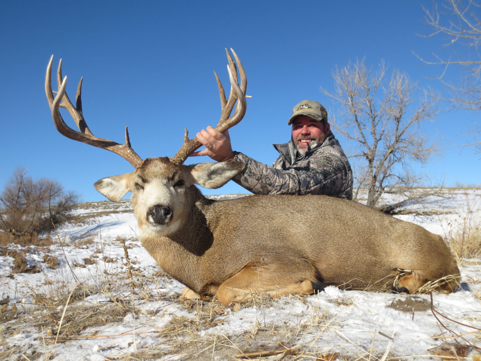 Fully Guided Trophy Mule Deer Hunts in Colorado | J&D Outfitters