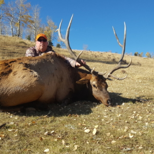 2019 Cripple Creek 2019