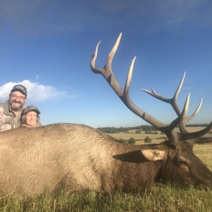 Eastern Plains Elk 2019