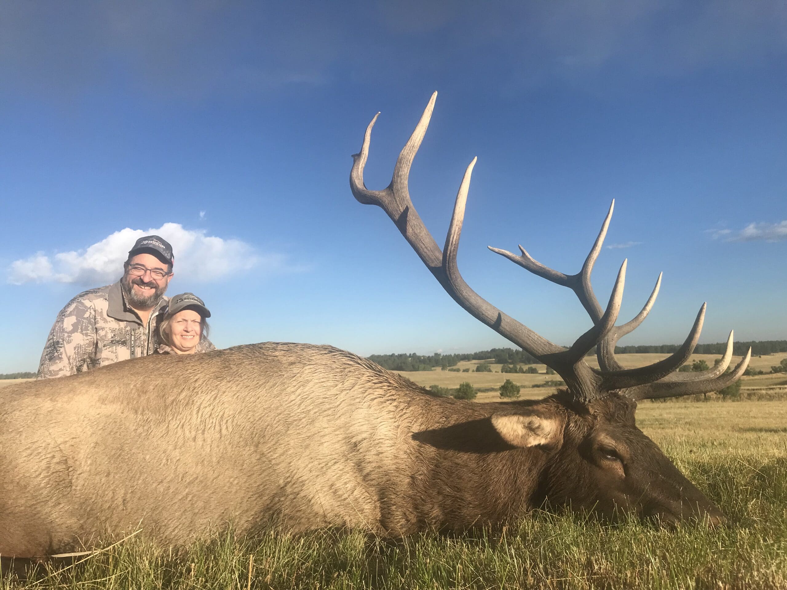 Eastern Plains Elk 2019