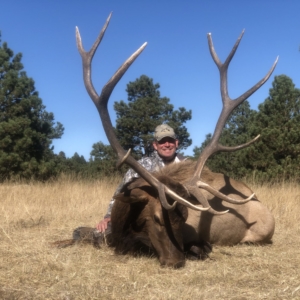 Eastern Plains Elk 2019