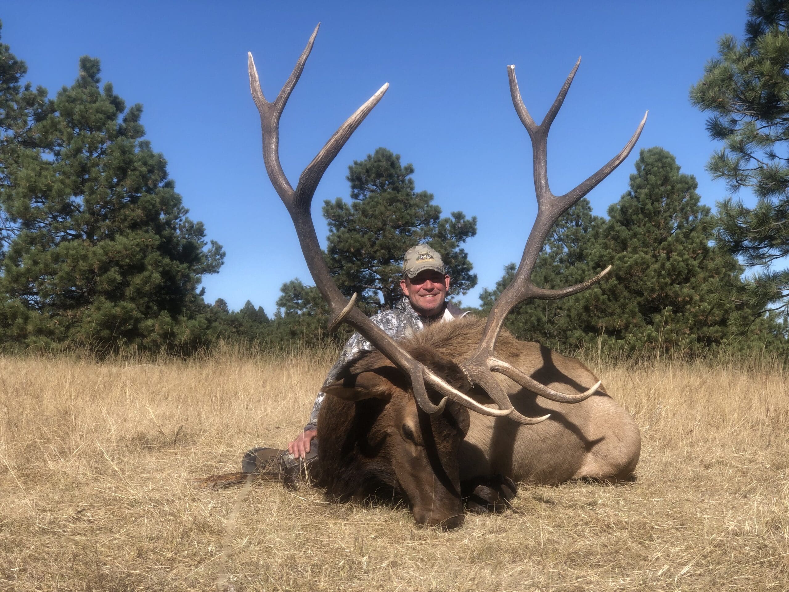 Eastern Plains Elk 2019