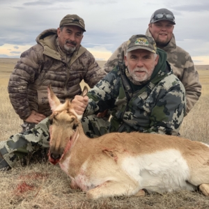 Pronghorn 2019