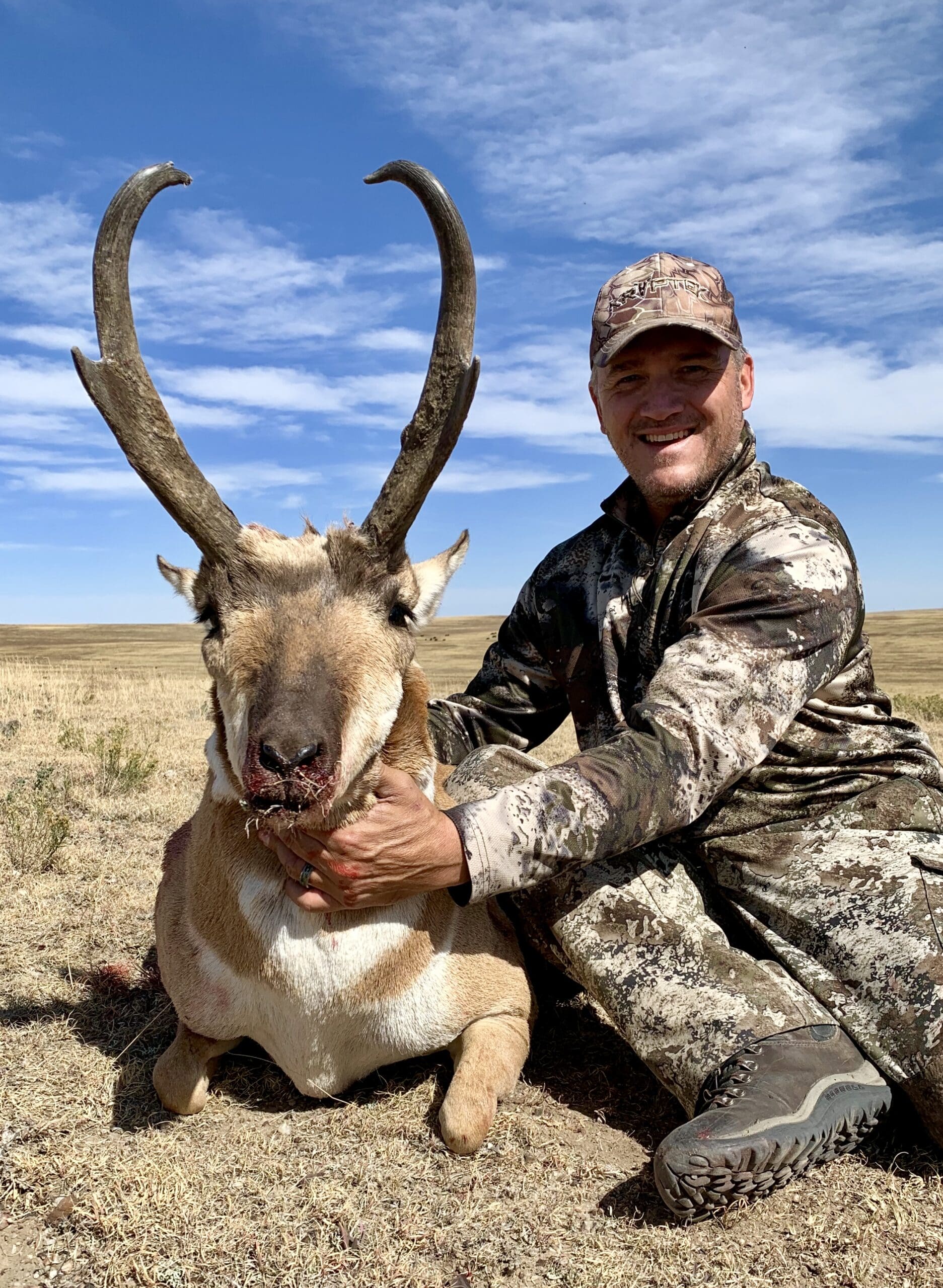 Pronghorn 2019