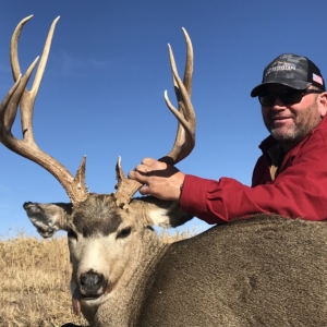 Eastern Plains Deer 2019