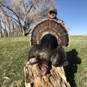 Spring Turkey 2019