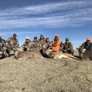 Eastern Plains Deer 2019