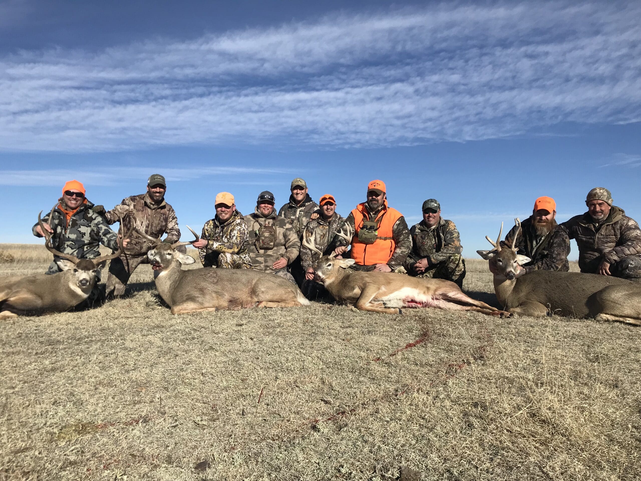 Eastern Plains Deer 2019