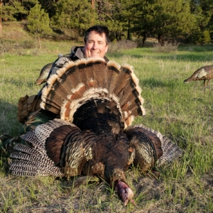 IMG_5281 Spring Turkey 2019