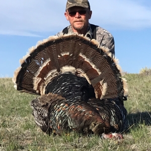 IMG_5286 Spring Turkey 2019