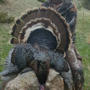 IMG_5287 Spring Turkey 2019