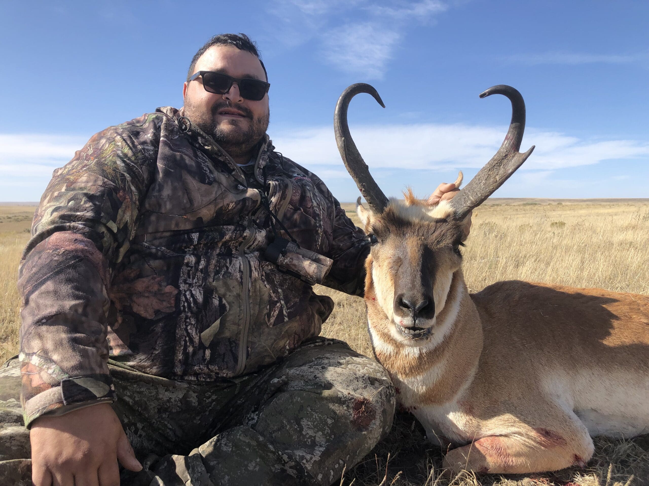 Pronghorn 2019