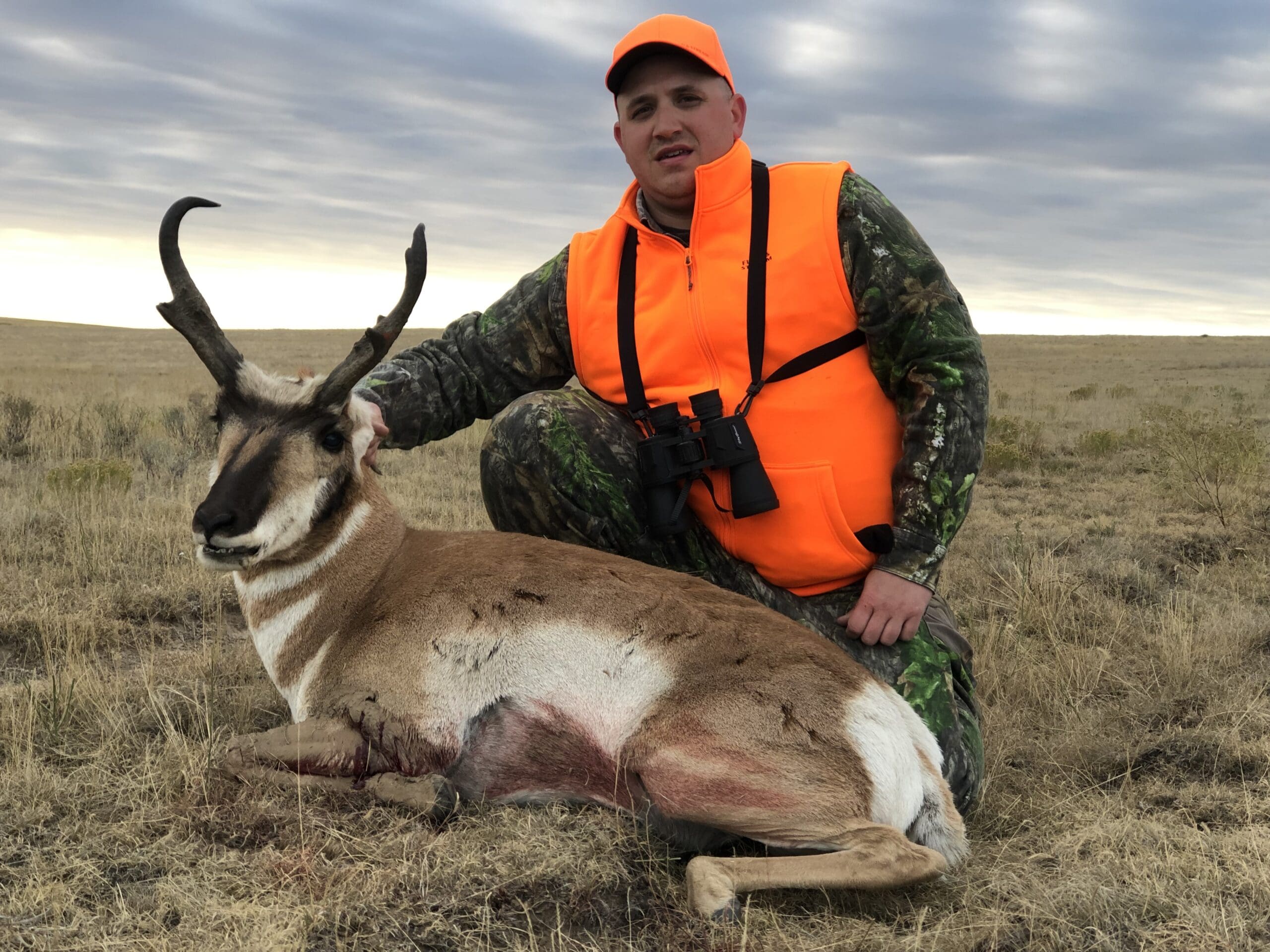 Pronghorn 2019