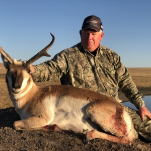 Pronghorn 2019