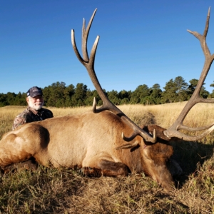 Eastern Plains Elk 2019