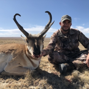 Pronghorn 2019