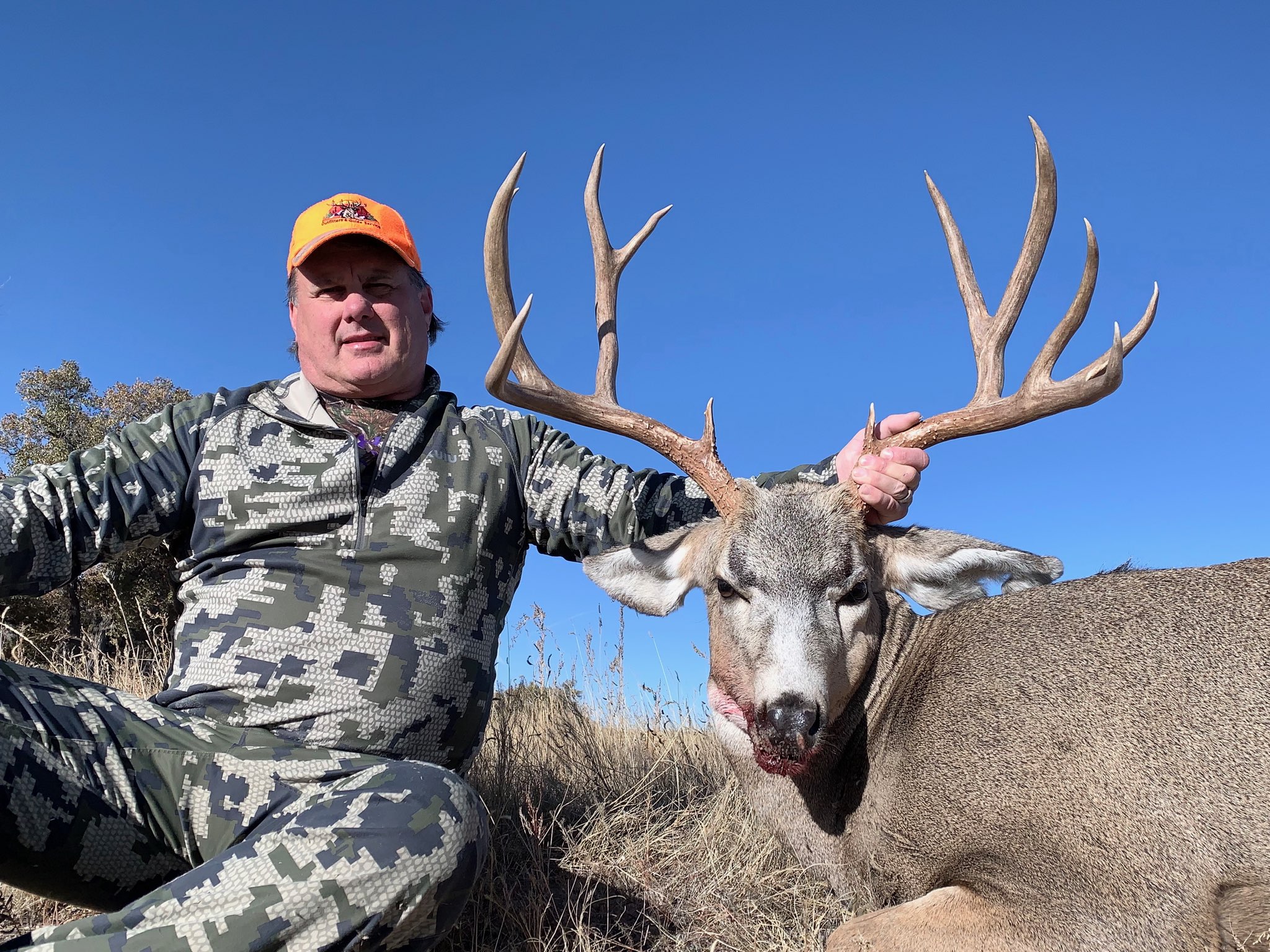 Eastern Plains Deer 2019