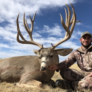 Eastern Plains Deer 2019