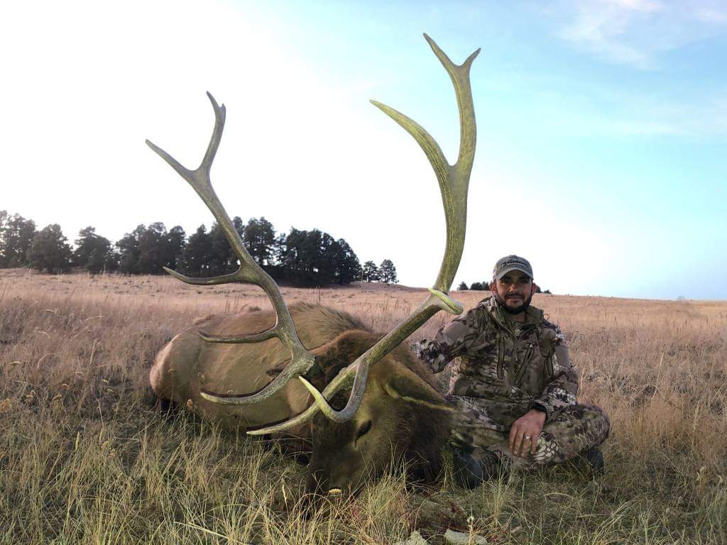 Eastern Plains Elk 2019