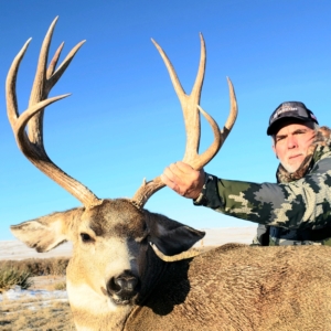 IMG_6332 Eastern Plains Deer 2019