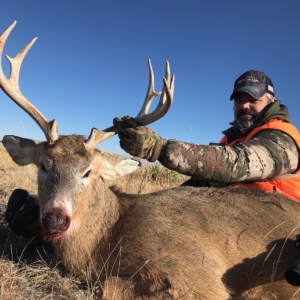 IMG_6565 Eastern Plains Deer 2019