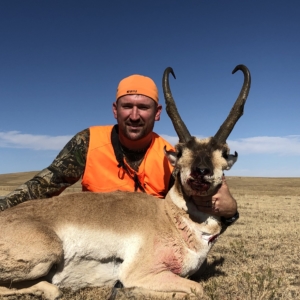 Pronghorn 2019