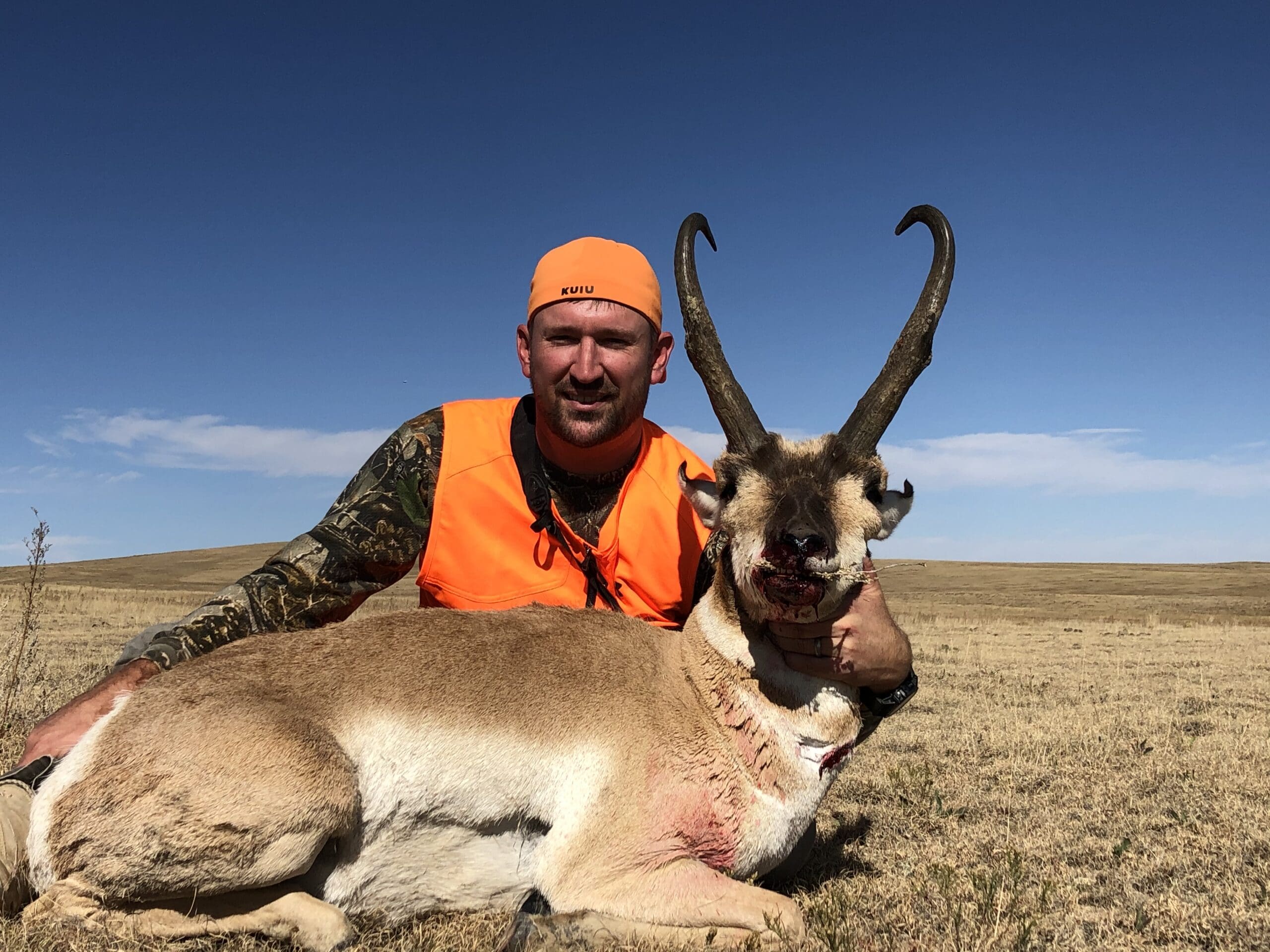 Pronghorn 2019