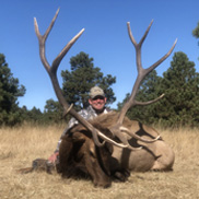 Elk