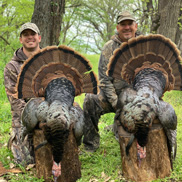 Spring Turkey Hunts