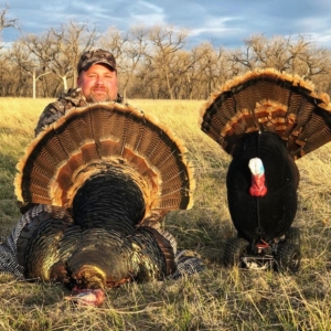 2b0d6d6e-0c3f-4743-9880-7f7a626921b0 Spring Turkey 2020