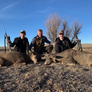 Eastern Plains Deer 2020