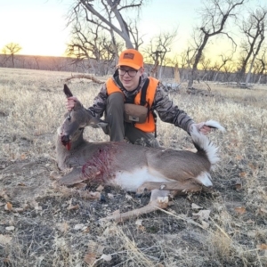 Eastern Plains Deer 2020