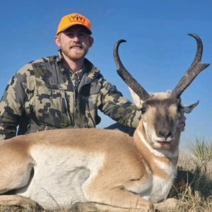 Pronghorn 2020