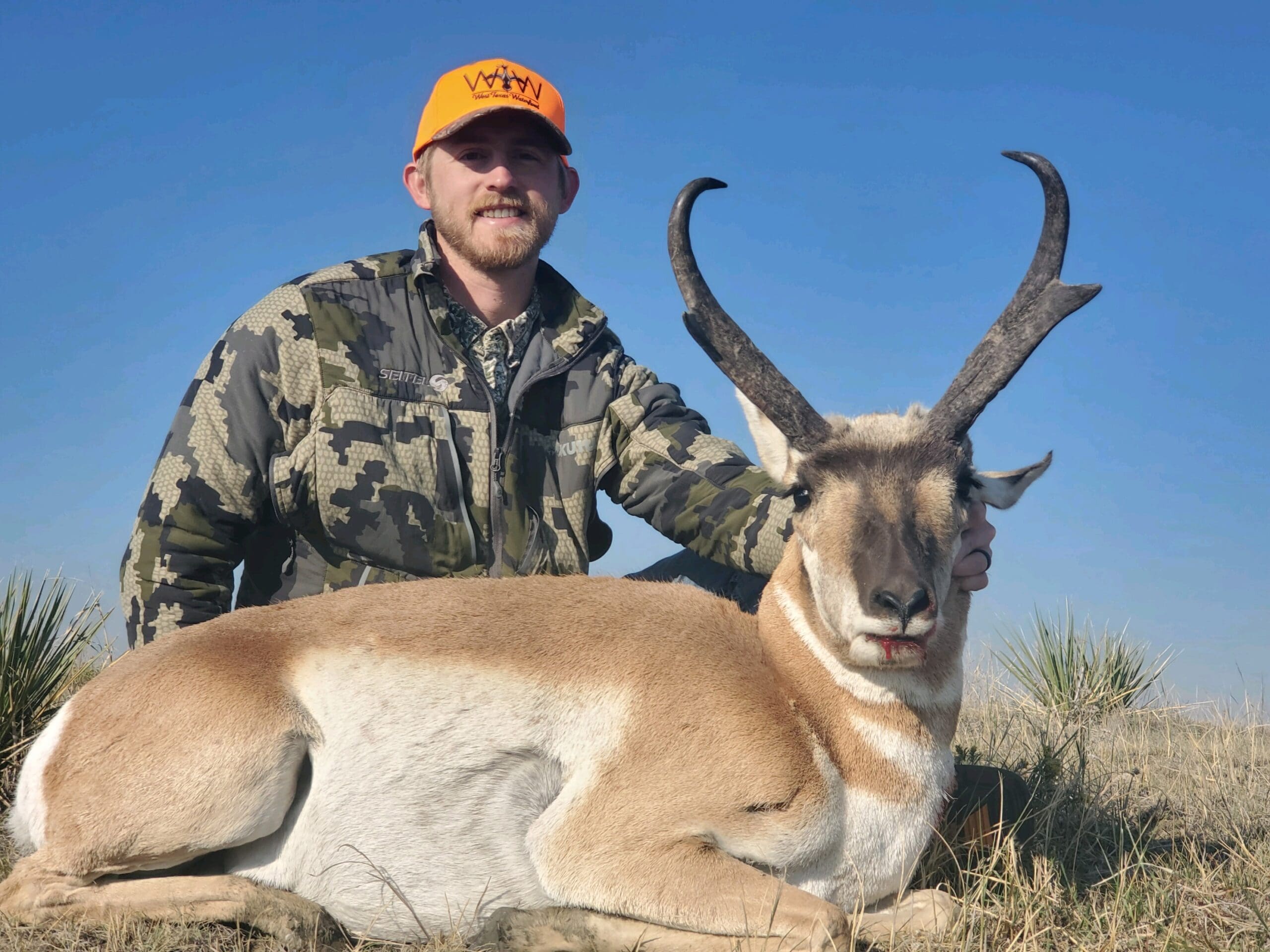 Pronghorn 2020