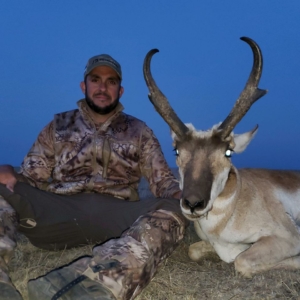 IMG_0728 Pronghorn 2020