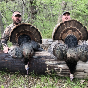 IMG_1220 – Copy Deer & Turkey