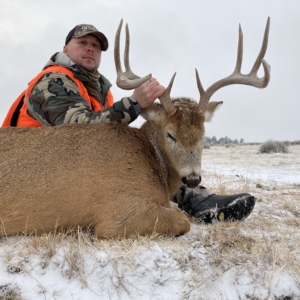 IMG_2015 Eastern Plains Deer 2020