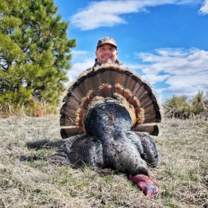 IMG_7253 Spring Turkey 2020