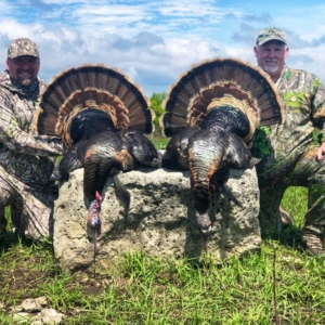 IMG_8204 Spring Turkey 2020