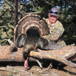 IMG_8261 Spring Turkey 2020