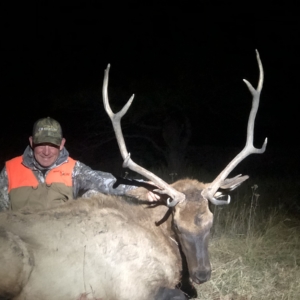 IMG_9006 Eastern Plains Elk 2020