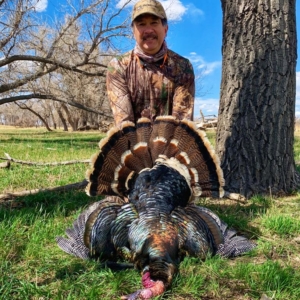 da0b35be-28a9-45c1-85d2-eebf5974a201-1 Spring Turkey 2020